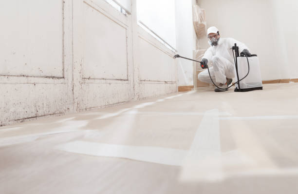 24/7 Emergency Mold Remediation experts in St. Simons, GA