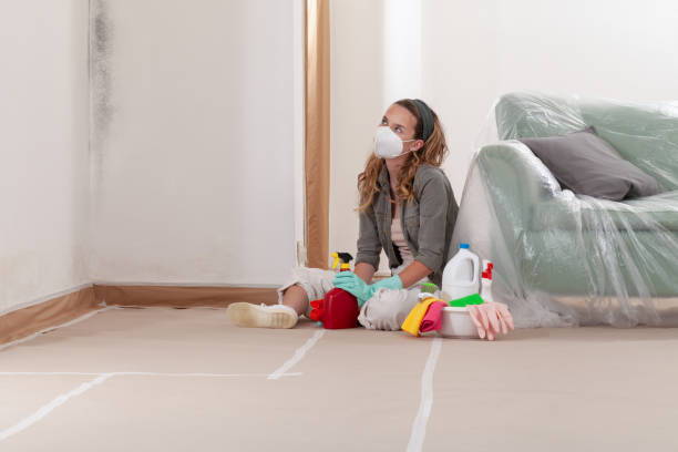 Reliable Mold Remediation contractor in St. Simons, GA by 24 Hour Mold Removal